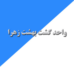 واحد گشت برای بهشت زهرا